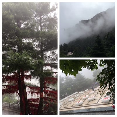 蒼山.jpg